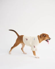 Graphic Pet Sweater