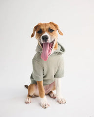 A&F Essential Pet Pupover